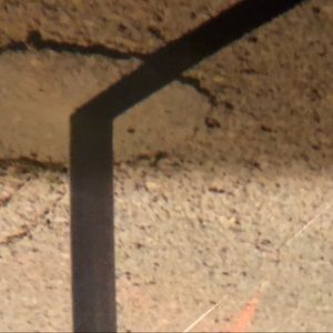 Meet your Posher, Brayden